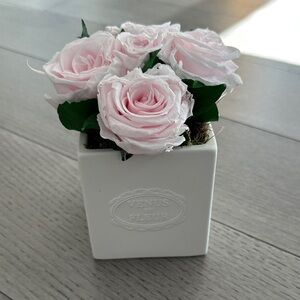Venus Et Fleur  Pink Rose Box